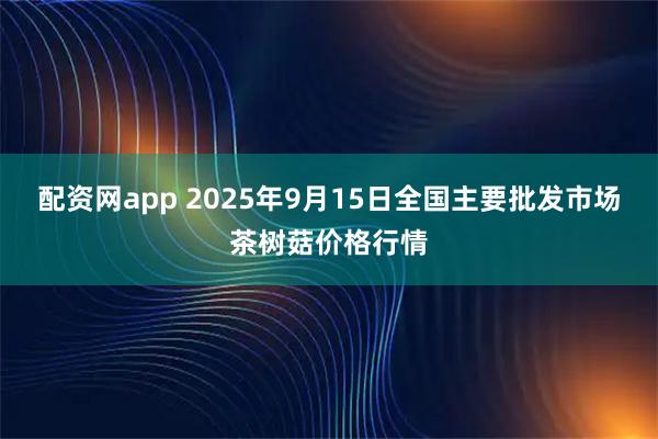 配资网app 2025年9月15日全国主要批发市场茶树菇价格行情